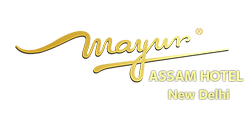 Mayur Assam Hotel